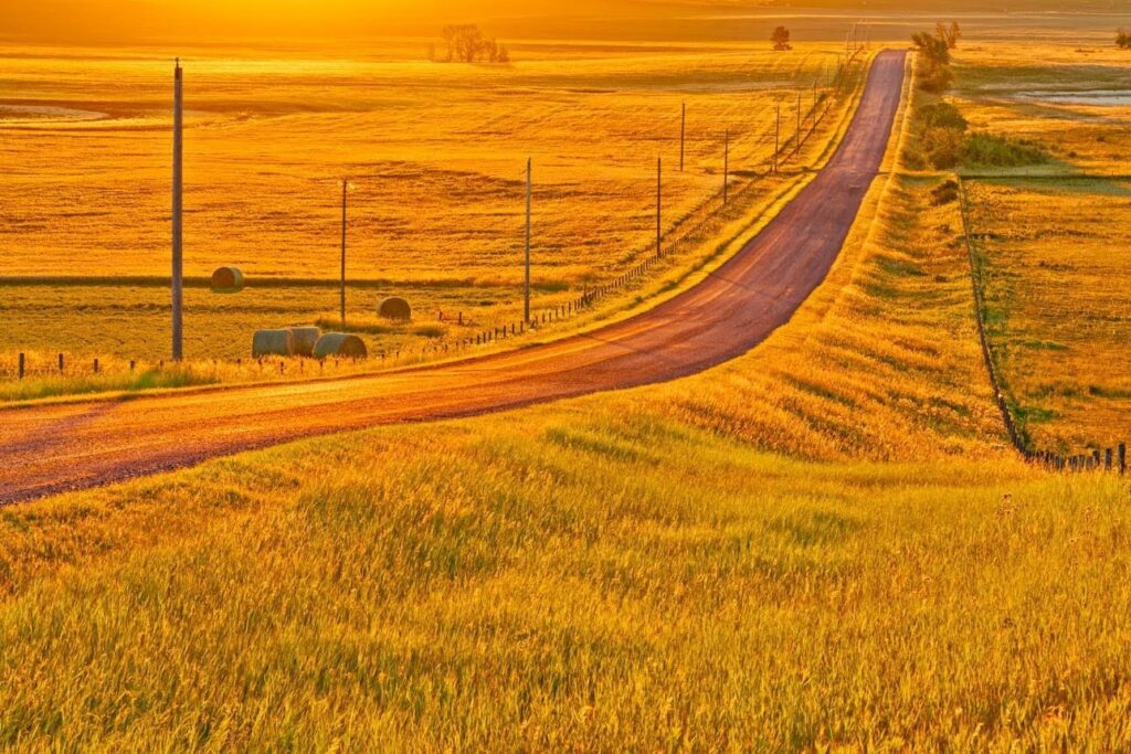 Vegreville Ukrainian road