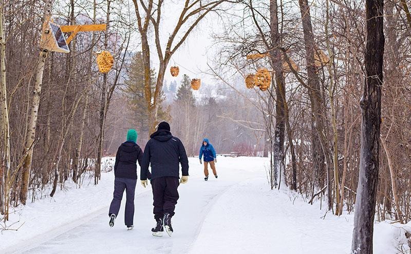 Winter in Edmonton
