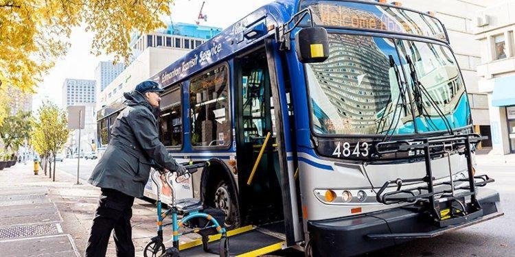 Edmonton's bus